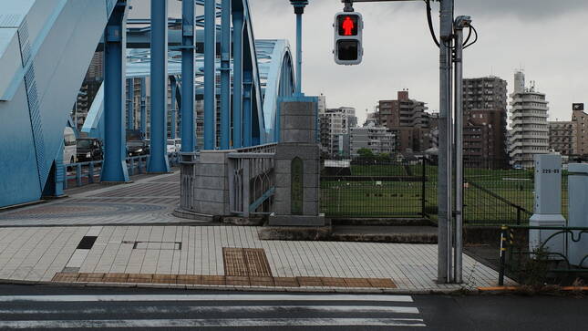 ZE243088-crop.avif