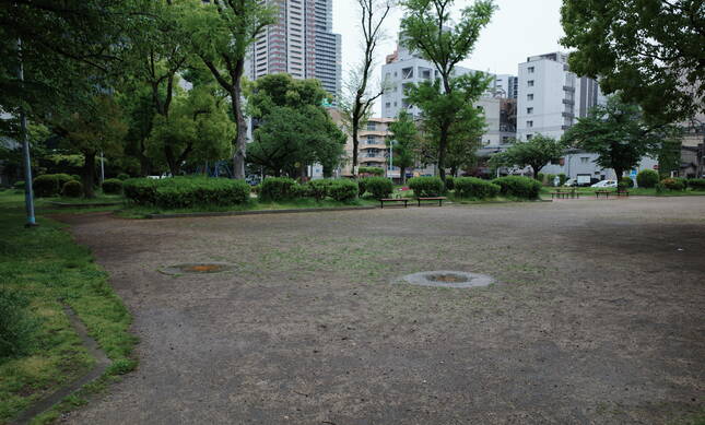 ZDS52498-crop.avif